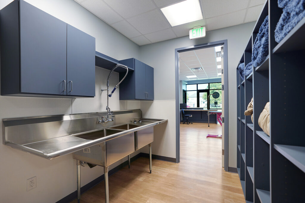 Animal Hospital Architecture Work room