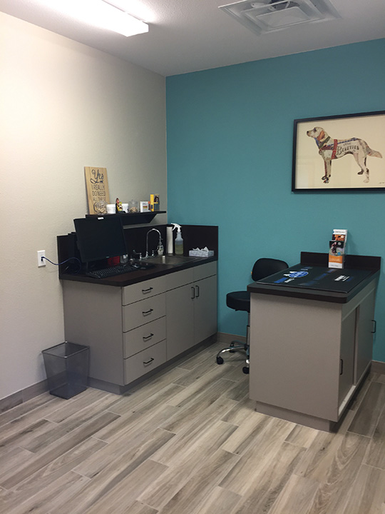 Resort for Pets Exam Room Design