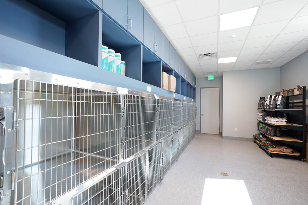 Veterinarian Hospital Interior