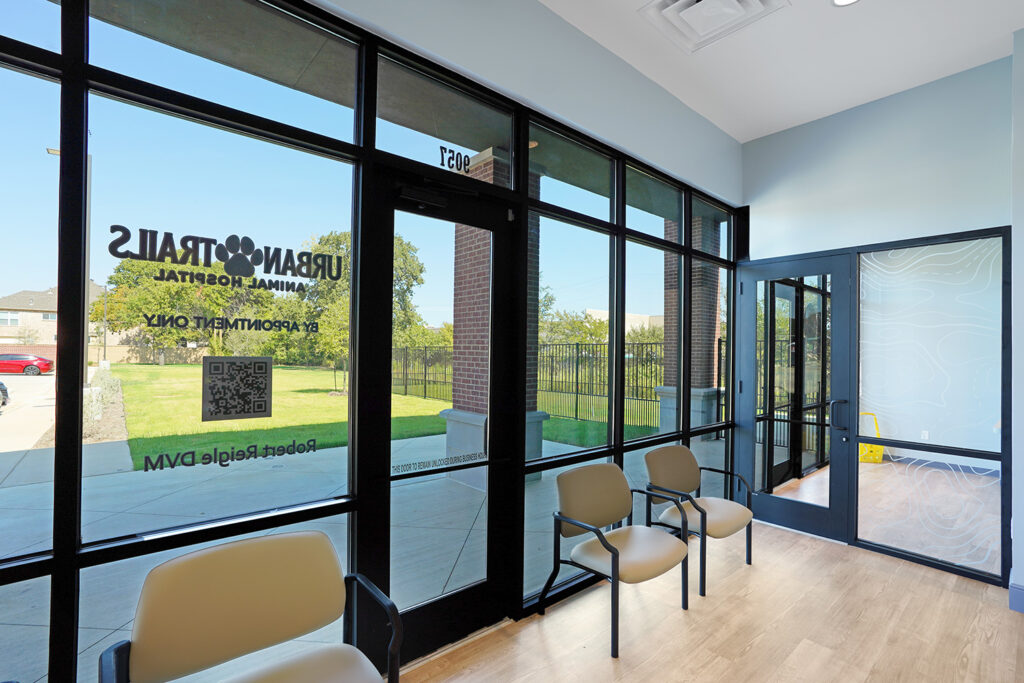 Window view from Animal Hospital Design