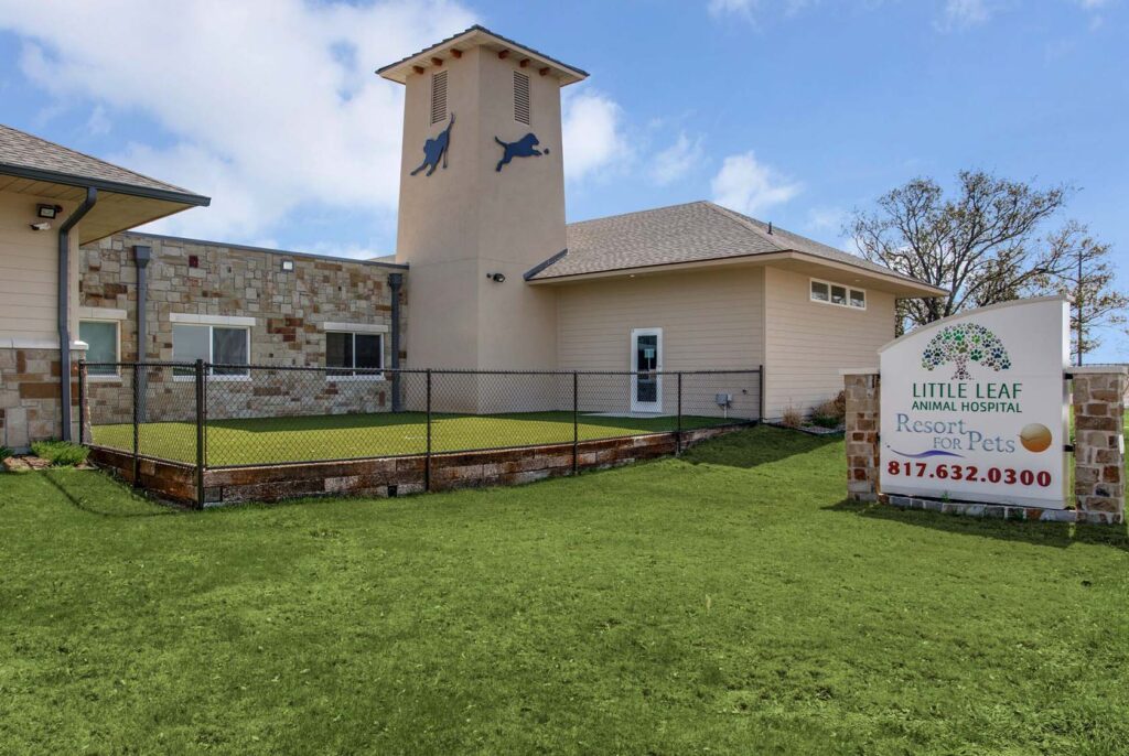 Veterinary Architecture Fort Worth