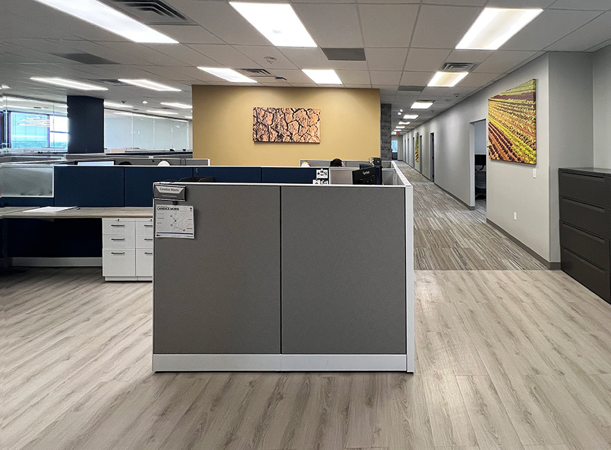 Interior Design Existing Office